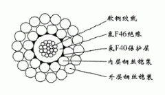 FL-WGSF46-8.00mm防硫型单芯氟塑料双钢丝铠装承荷探测电缆