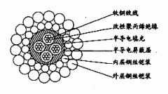 W4BP-8.00mm芯改性聚丙烯绝缘双钢丝铠装承荷探测电缆