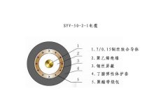 SYV-50-2-1电缆结构图