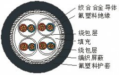 AKFFPXR200热电偶热电阻专用高温屏蔽线