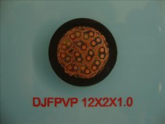 DJFPVP 0.3/0.5KV 12*2*1.0 计算机屏蔽电缆