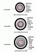 PTYA23、PTYA22铁路铠装信号电缆