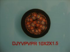 WDZ-DJYPYPR 10*2*1.5低烟无卤阻燃计算机电缆